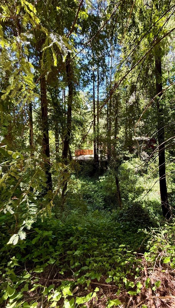 Detail Gallery Image 20 of 24 For 0 Circle Way, Boulder Creek,  CA 95006 - – Beds | – Baths
