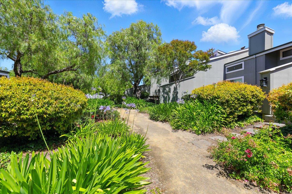Detail Gallery Image 44 of 49 For 3383 Los Prados St, San Mateo,  CA 94403 - 2 Beds | 2 Baths