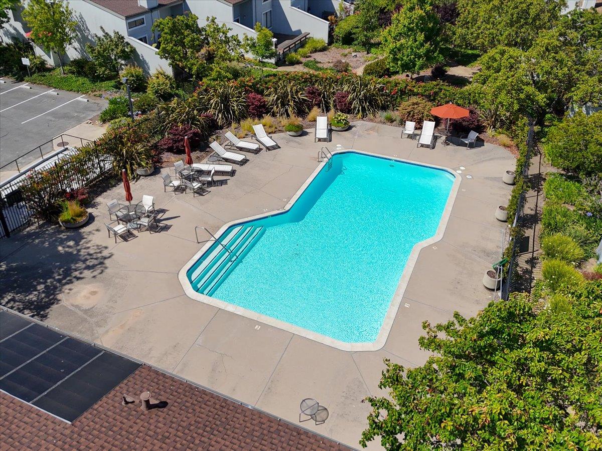 Detail Gallery Image 46 of 49 For 3383 Los Prados St, San Mateo,  CA 94403 - 2 Beds | 2 Baths