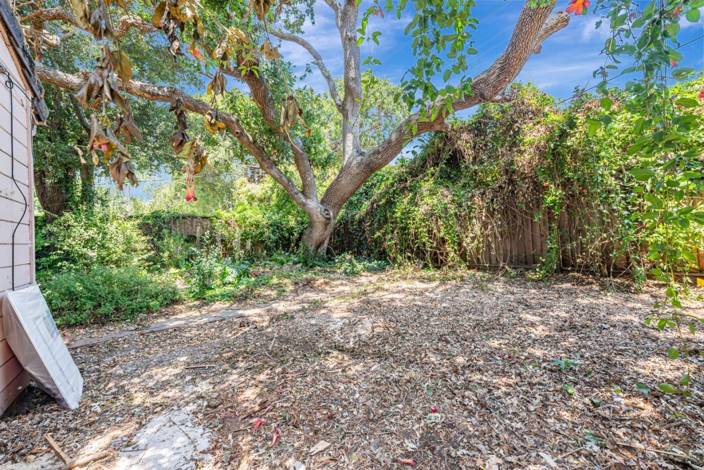 Detail Gallery Image 6 of 19 For 1036 Almanor Ave, Menlo Park,  CA 94025 - 3 Beds | 2 Baths