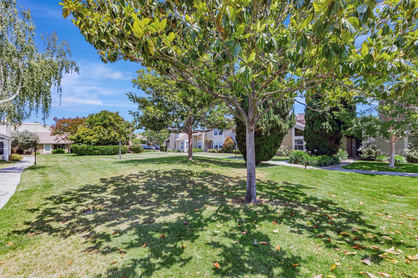 Detail Gallery Image 47 of 53 For 4337 Lake Santa Clara Dr, Santa Clara,  CA 95054 - 4 Beds | 2/1 Baths
