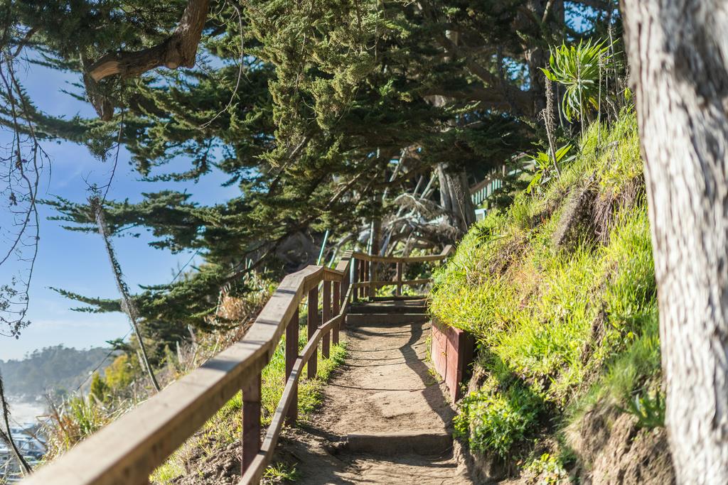 Detail Gallery Image 36 of 38 For 430 Hillcrest Dr, Aptos,  CA 95003 - 3 Beds | 2 Baths