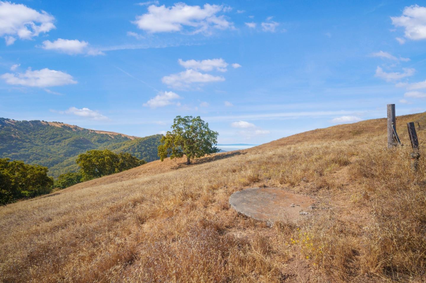 Detail Gallery Image 21 of 29 For 0 E Dunne Ave, Morgan Hill,  CA 95037 - – Beds | – Baths