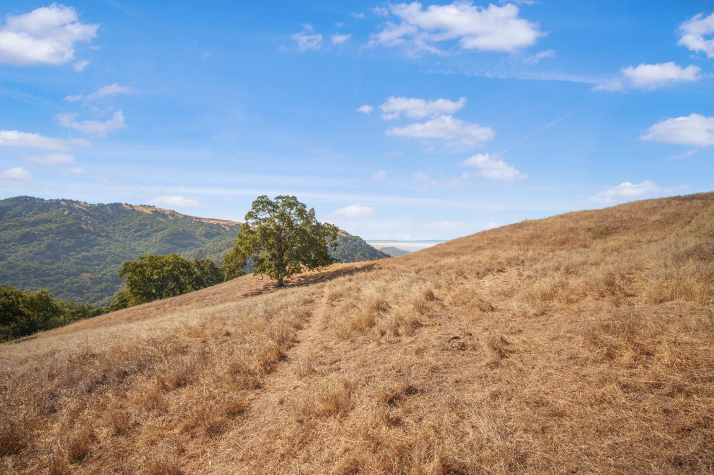 Detail Gallery Image 22 of 29 For 0 E Dunne Ave, Morgan Hill,  CA 95037 - – Beds | – Baths