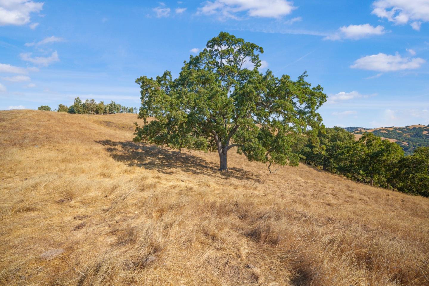 Detail Gallery Image 23 of 29 For 0 E Dunne Ave, Morgan Hill,  CA 95037 - – Beds | – Baths
