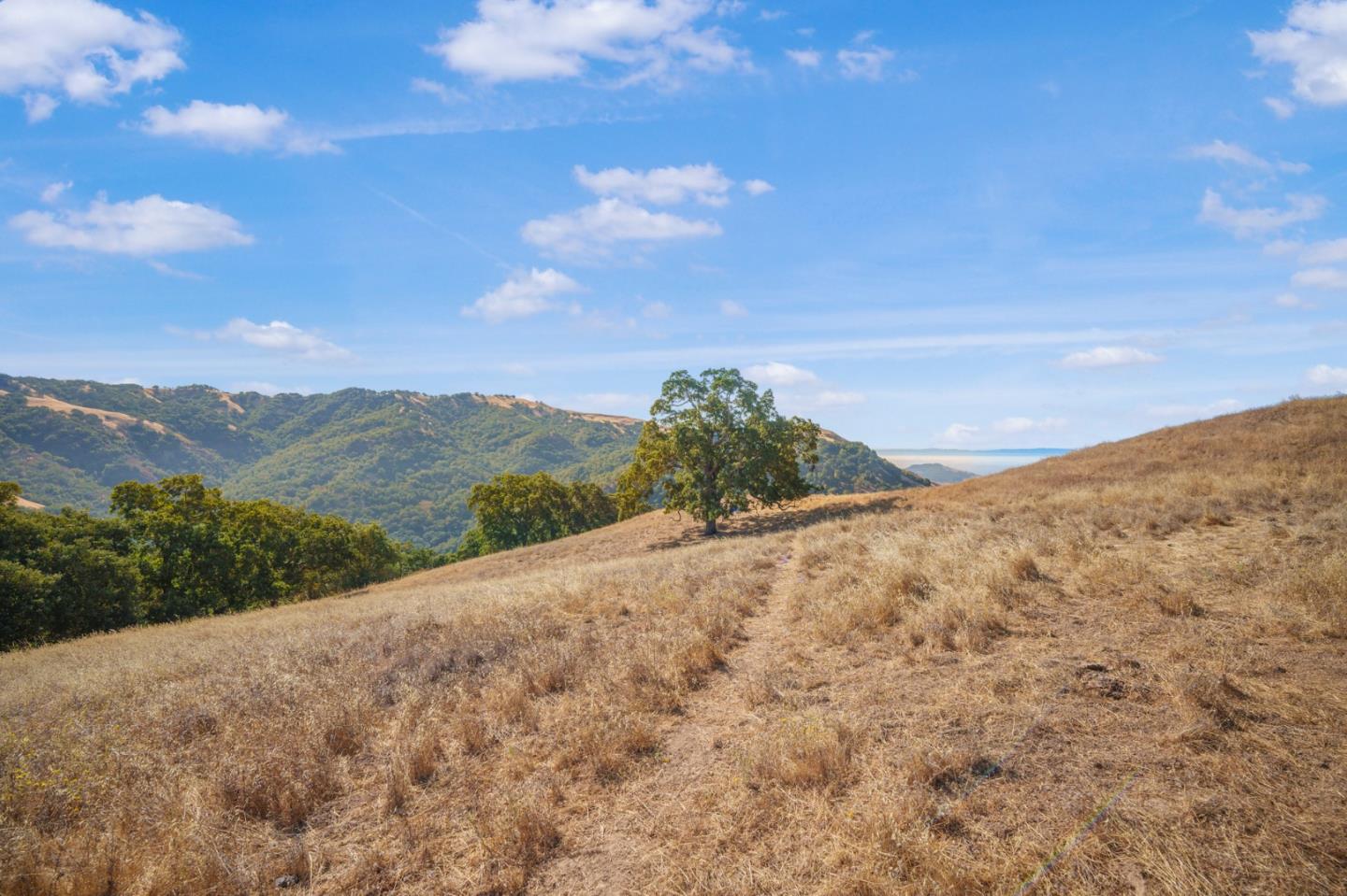 Detail Gallery Image 24 of 29 For 0 E Dunne Ave, Morgan Hill,  CA 95037 - – Beds | – Baths