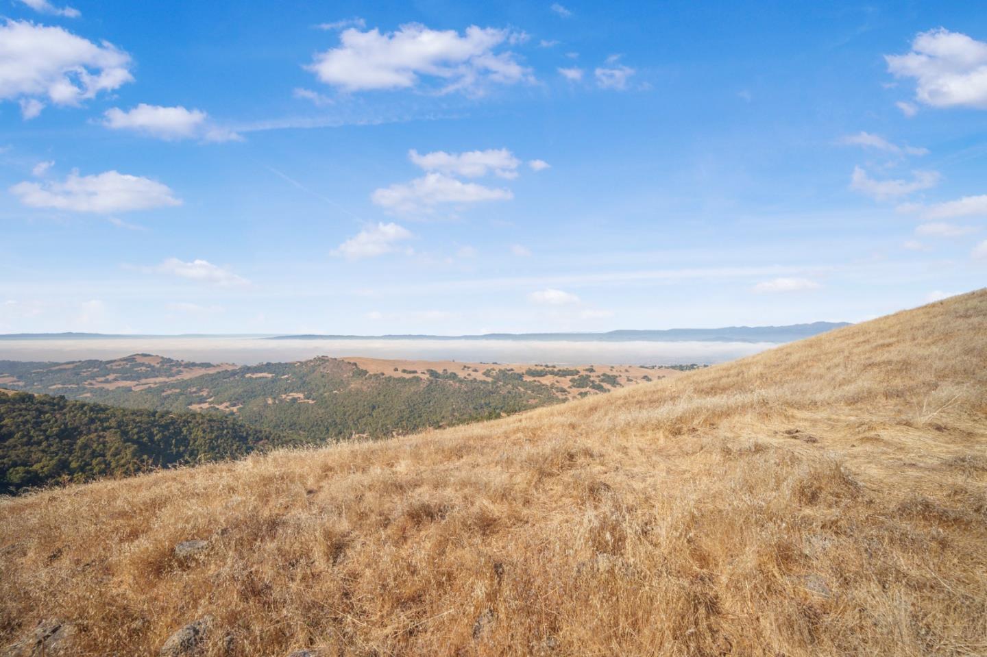 Detail Gallery Image 28 of 29 For 0 E Dunne Ave, Morgan Hill,  CA 95037 - – Beds | – Baths