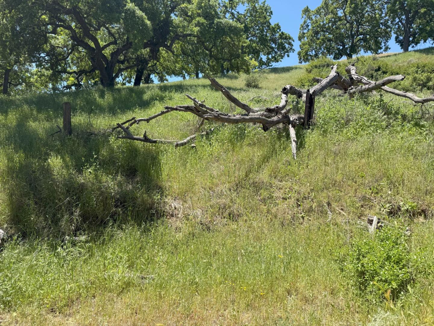 Detail Gallery Image 3 of 9 For 0 E Dunne Ave, Morgan Hill,  CA 95037 - – Beds | – Baths