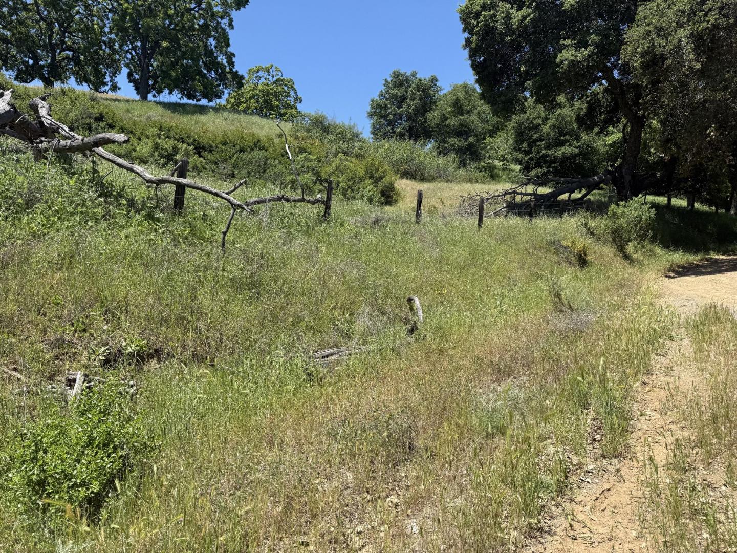 Detail Gallery Image 5 of 9 For 0 E Dunne Ave, Morgan Hill,  CA 95037 - – Beds | – Baths