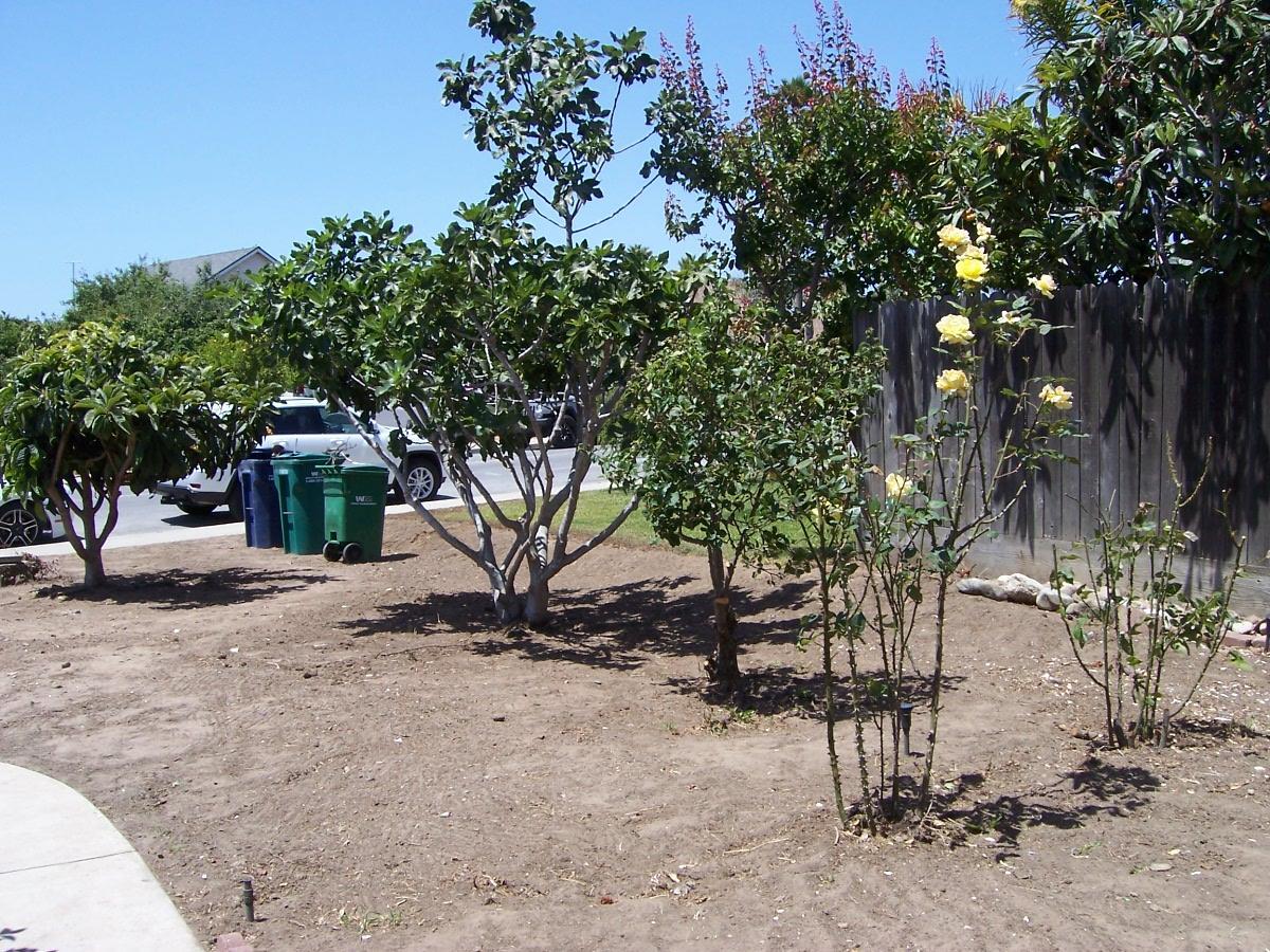 Detail Gallery Image 16 of 17 For 25620 Jefferson St, Chualar,  CA 93925 - 3 Beds | 2 Baths