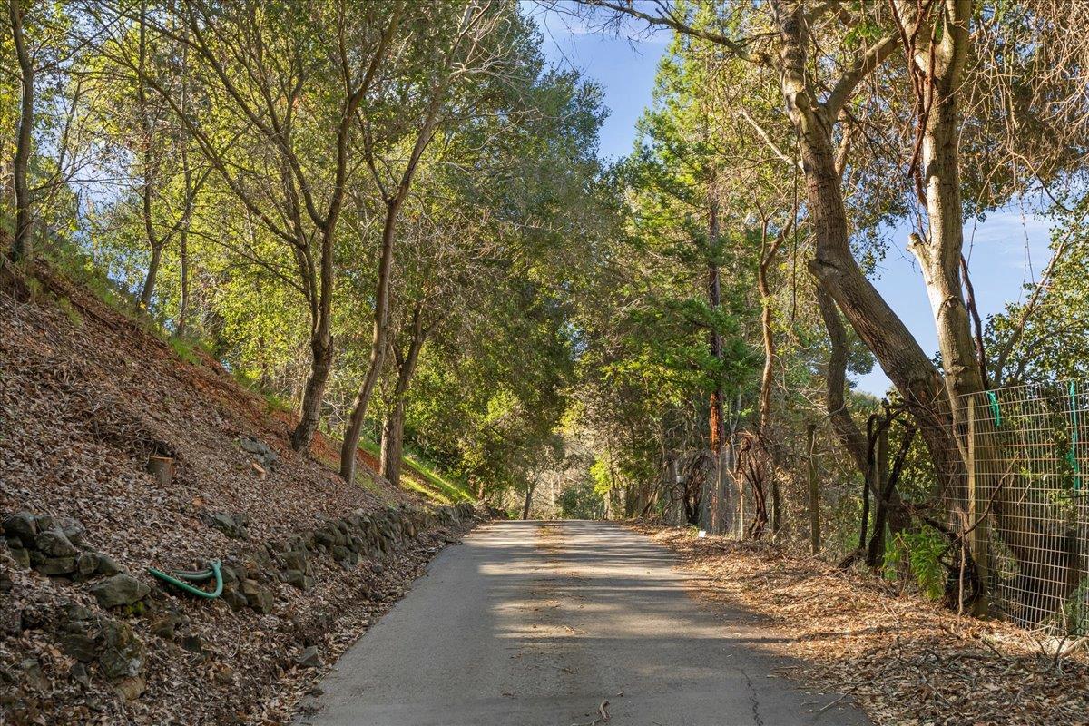 Detail Gallery Image 106 of 108 For 28140 Story Hill Ln, Los Altos Hills,  CA 94022 - 5 Beds | 4/1 Baths
