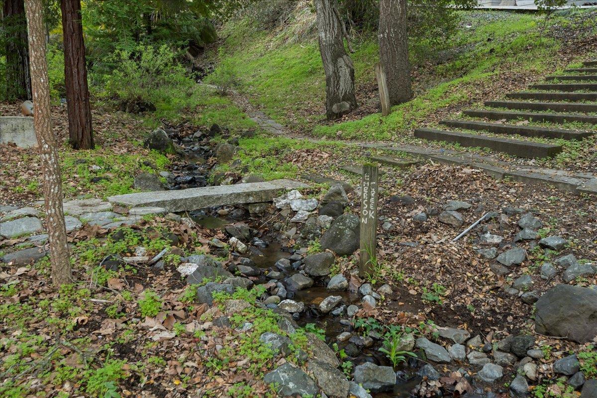 Detail Gallery Image 66 of 108 For 28140 Story Hill Ln, Los Altos Hills,  CA 94022 - 5 Beds | 4/1 Baths