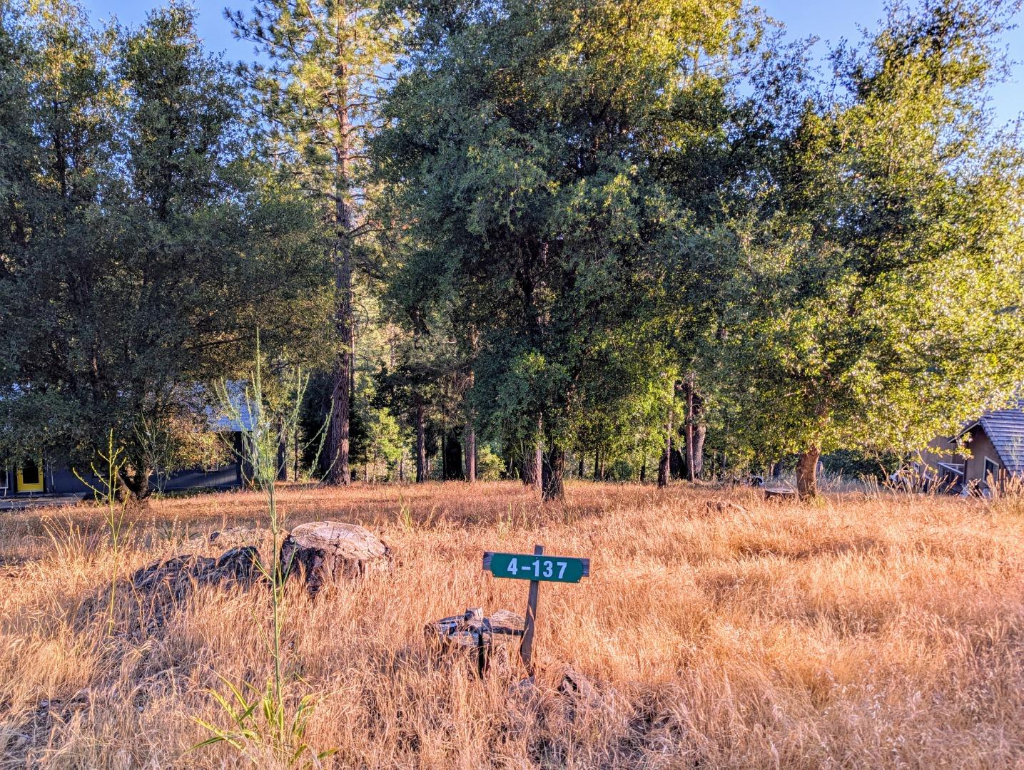 Detail Gallery Image 5 of 8 For 20130 Pine Mountain Dr #4,137, Groveland,  CA 95321 - – Beds | – Baths
