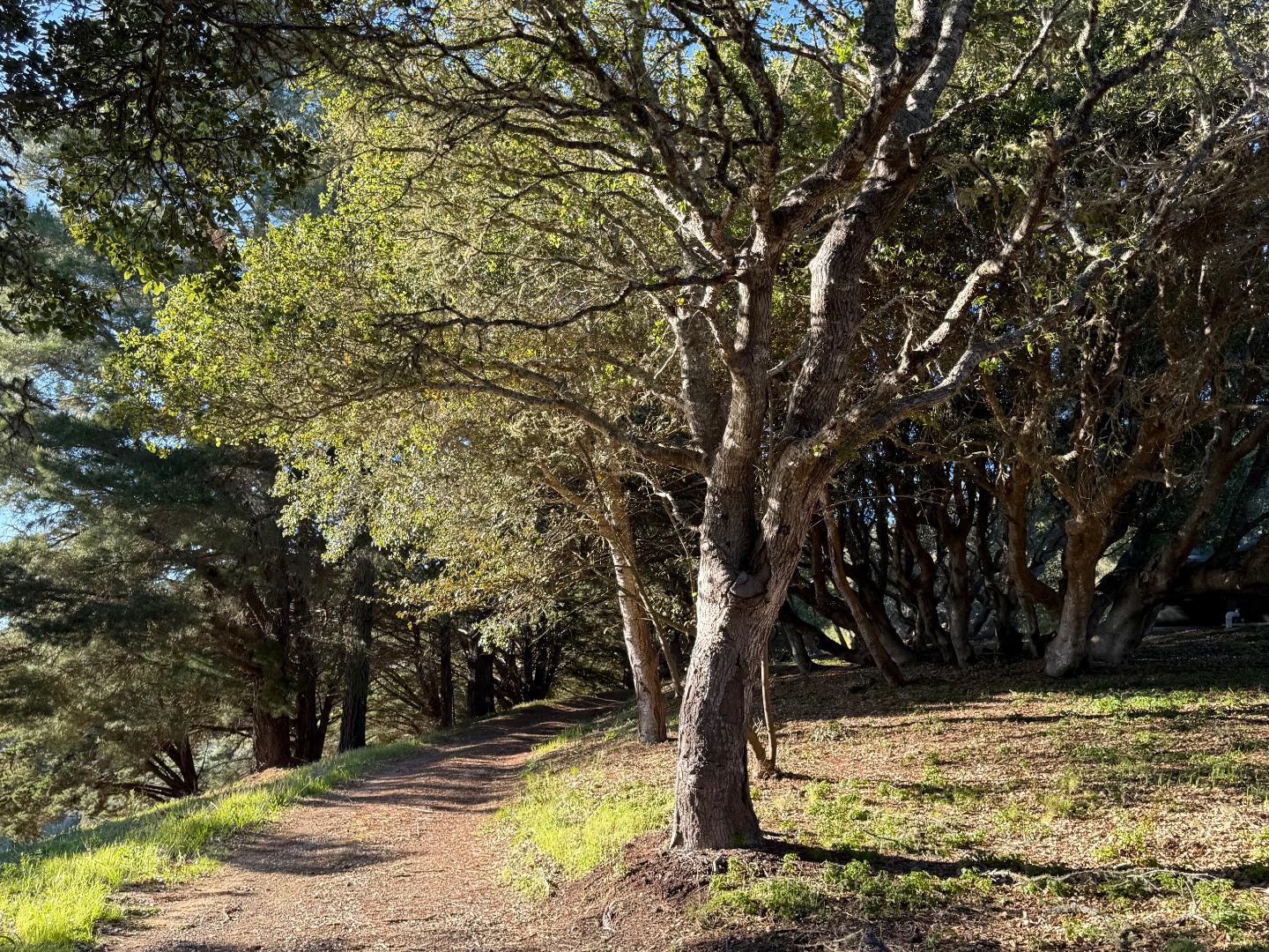 Detail Gallery Image 33 of 42 For 46480 Clear Ridge Rd, Big Sur,  CA 93920 - 1 Beds | 0/2 Baths