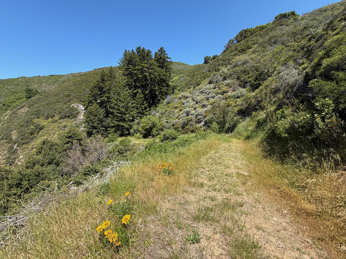 Detail Gallery Image 37 of 42 For 46480 Clear Ridge Rd, Big Sur,  CA 93920 - 1 Beds | 0/2 Baths