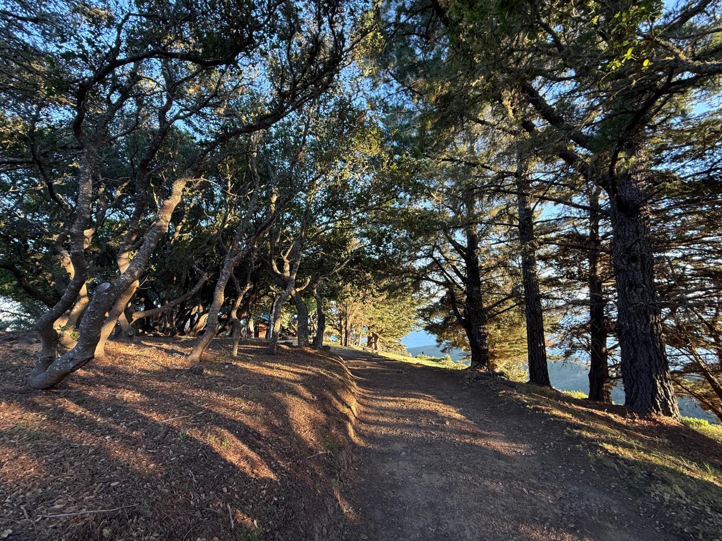 Detail Gallery Image 40 of 42 For 46480 Clear Ridge Rd, Big Sur,  CA 93920 - 1 Beds | 0/2 Baths