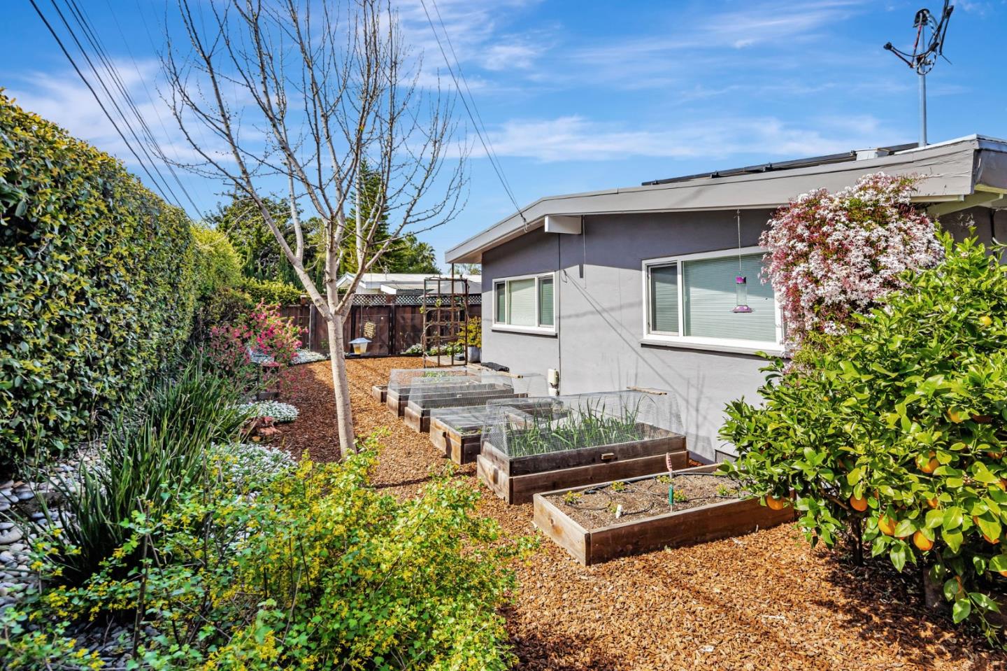 Detail Gallery Image 37 of 43 For 2381 Adele Ave, Mountain View,  CA 94043 - 3 Beds | 2 Baths