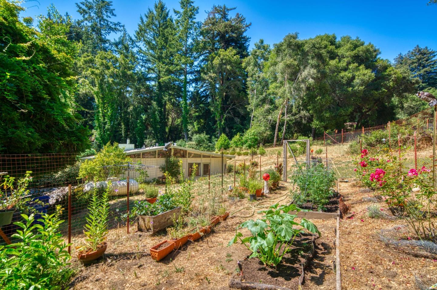 Detail Gallery Image 57 of 78 For 699 Felton Empire Rd, Felton,  CA 95018 - 3 Beds | 1/2 Baths