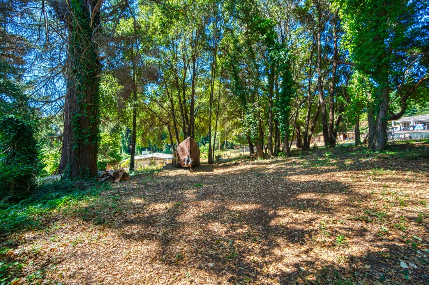 Detail Gallery Image 59 of 78 For 699 Felton Empire Rd, Felton,  CA 95018 - 3 Beds | 1/2 Baths