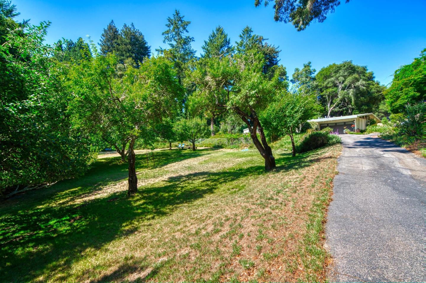 Detail Gallery Image 62 of 78 For 699 Felton Empire Rd, Felton,  CA 95018 - 3 Beds | 1/2 Baths