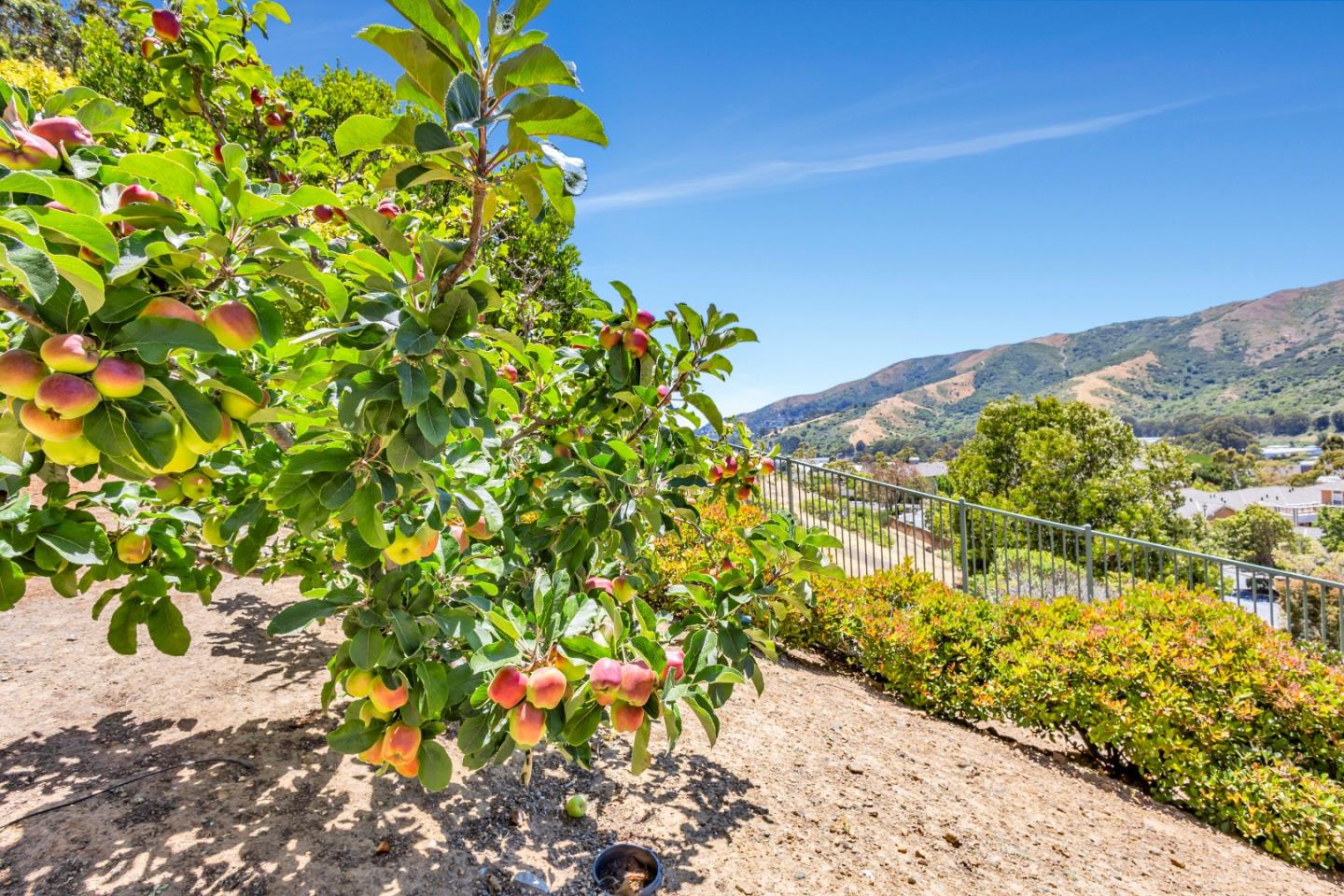 Detail Gallery Image 55 of 66 For 33 Lupine Valley Ct, Brisbane,  CA 94005 - 4 Beds | 2/1 Baths