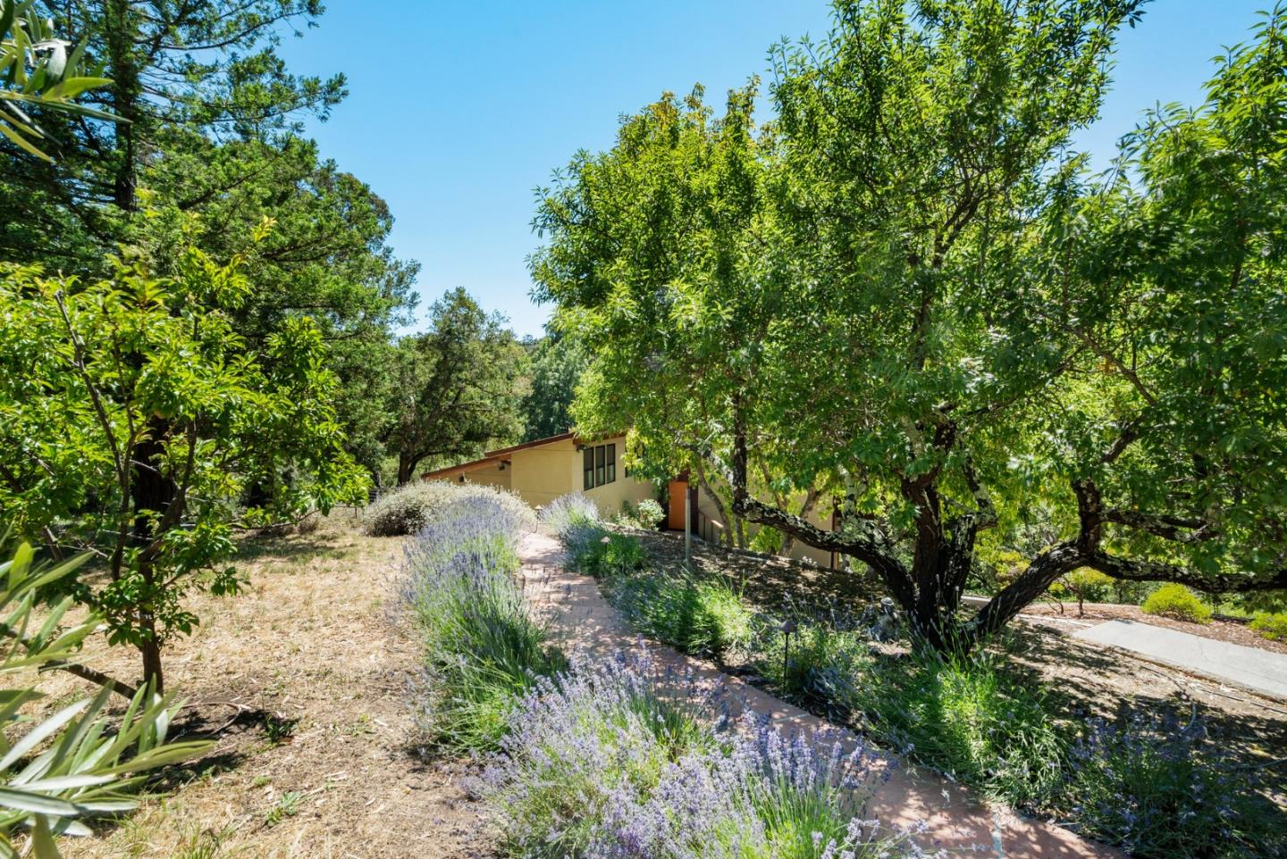 Detail Gallery Image 34 of 46 For 3773 Paul Sweet Rd, Santa Cruz,  CA 95065 - 3 Beds | 2 Baths