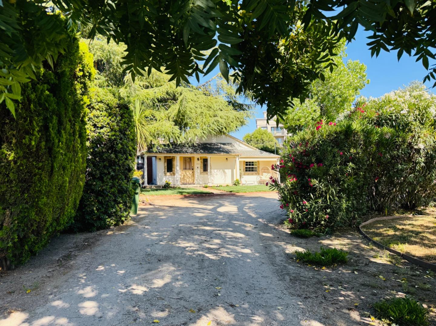 Thumbnail for 240 S 1st St, Campbell, CA 95008