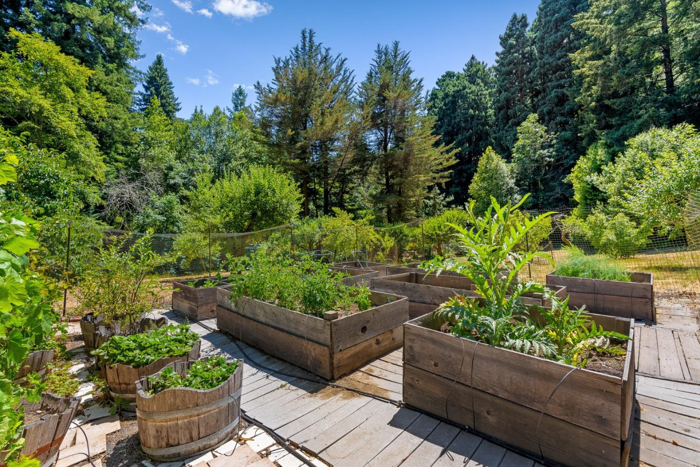 Detail Gallery Image 28 of 35 For 2538 Bean Creek Rd, Scotts Valley,  CA 95066 - 3 Beds | 2 Baths