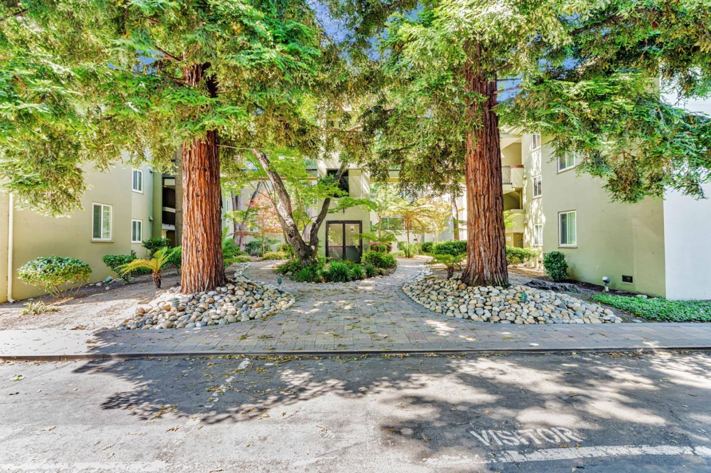 Detail Gallery Image 12 of 41 For 177 N El Camino Real #34,  San Mateo,  CA 94401 - 1 Beds | 1 Baths
