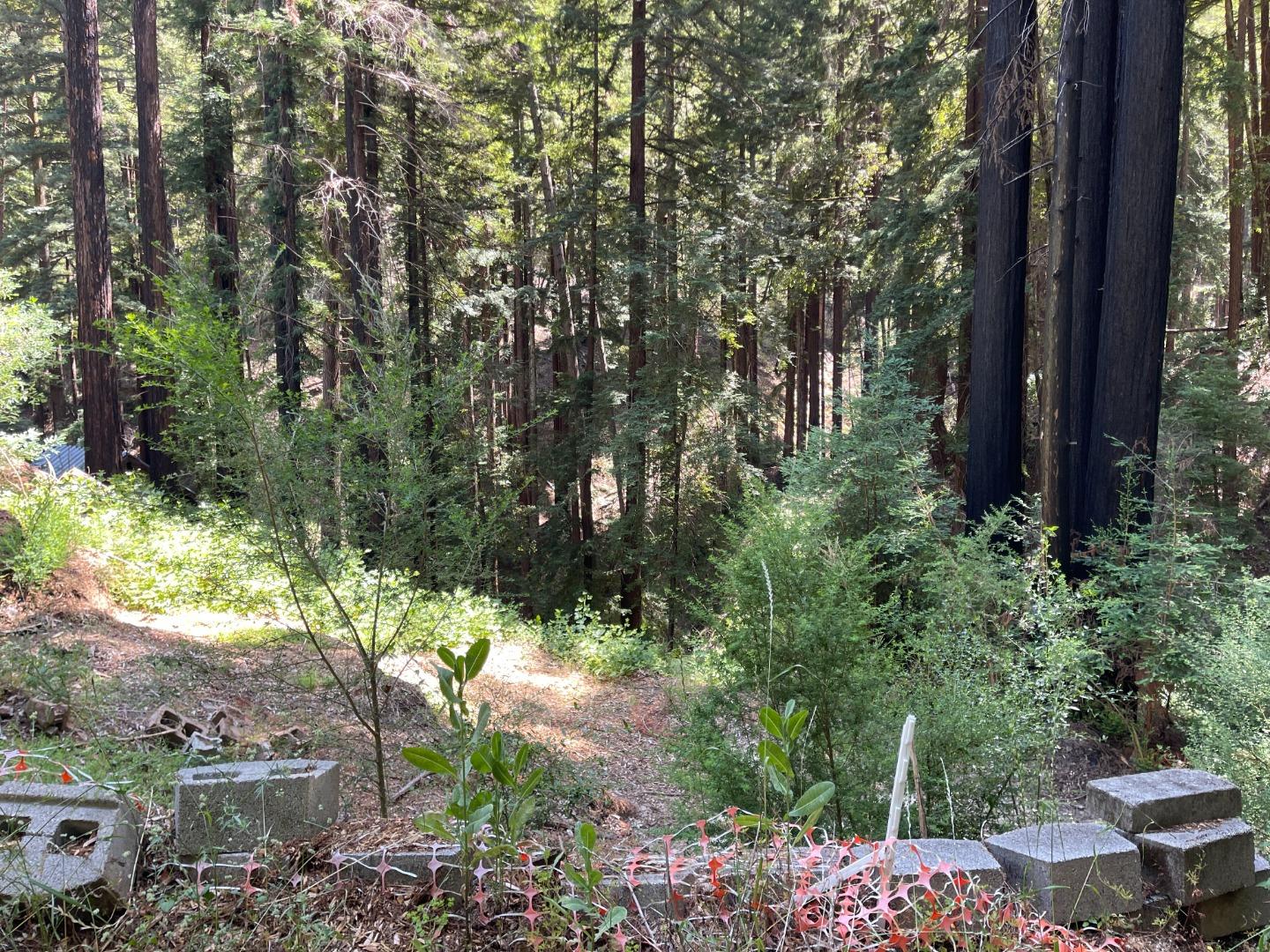 Detail Gallery Image 8 of 25 For 506 Sunset Rd, Boulder Creek,  CA 95006 - – Beds | – Baths