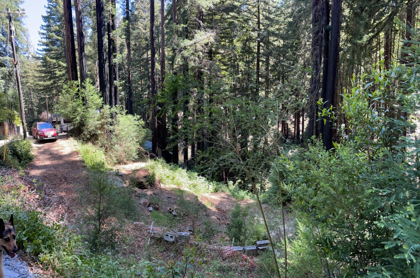Detail Gallery Image 9 of 25 For 506 Sunset Rd, Boulder Creek,  CA 95006 - – Beds | – Baths