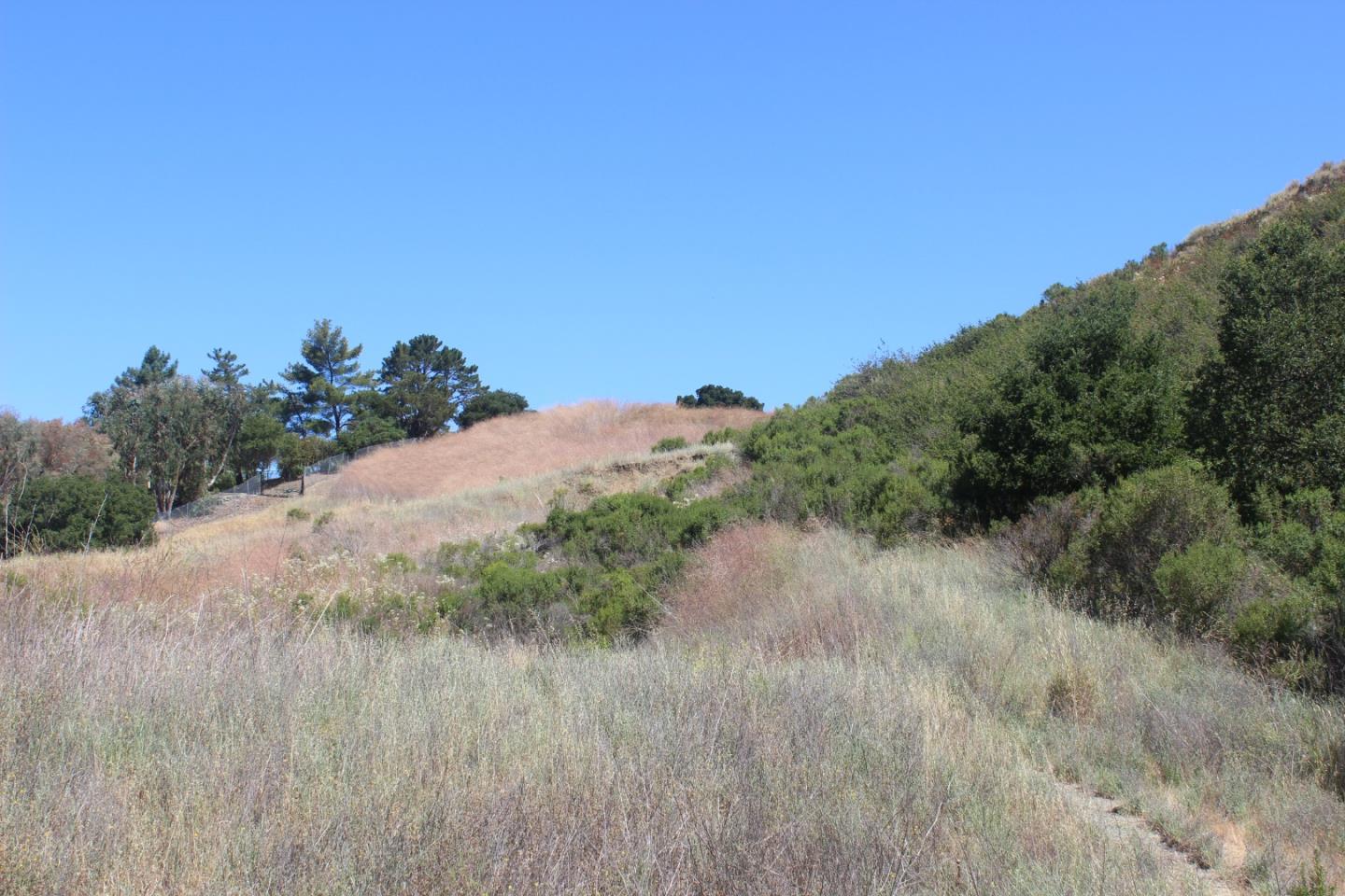 Detail Gallery Image 6 of 8 For 0 Mt Eden Rd, Saratoga,  CA 95070 - – Beds | – Baths