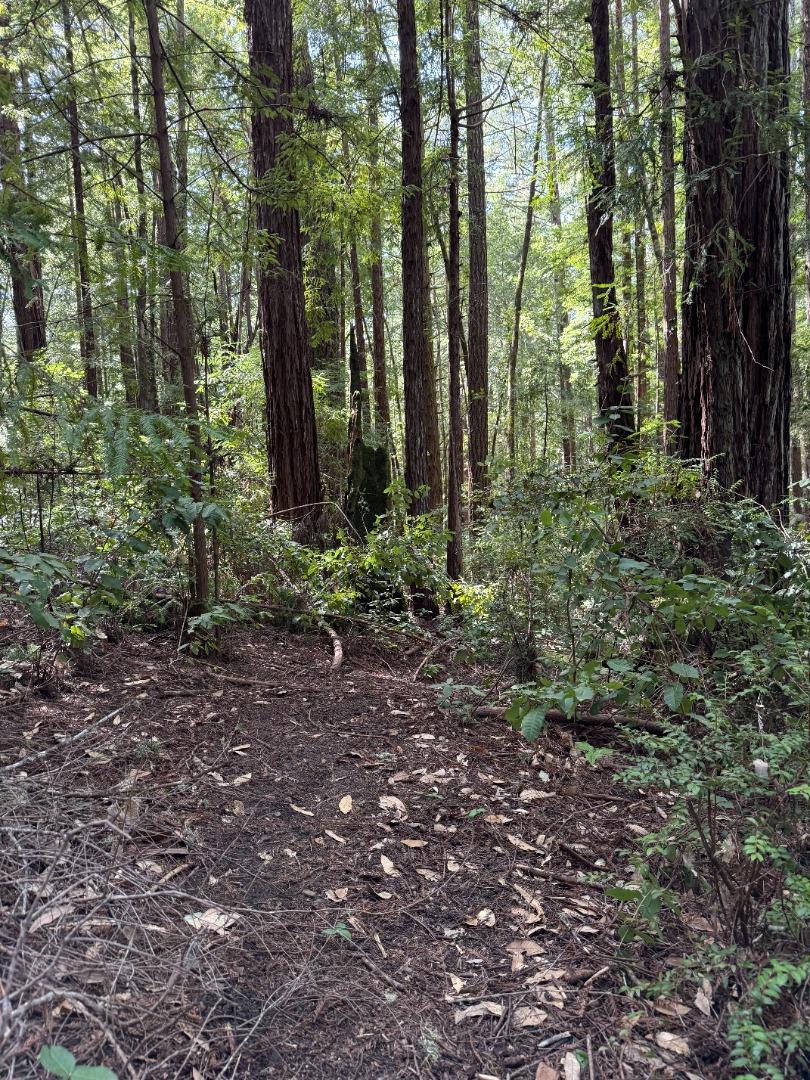 Detail Gallery Image 14 of 28 For 00 Slate Creek Rd., La Honda,  CA 94020 - – Beds | – Baths