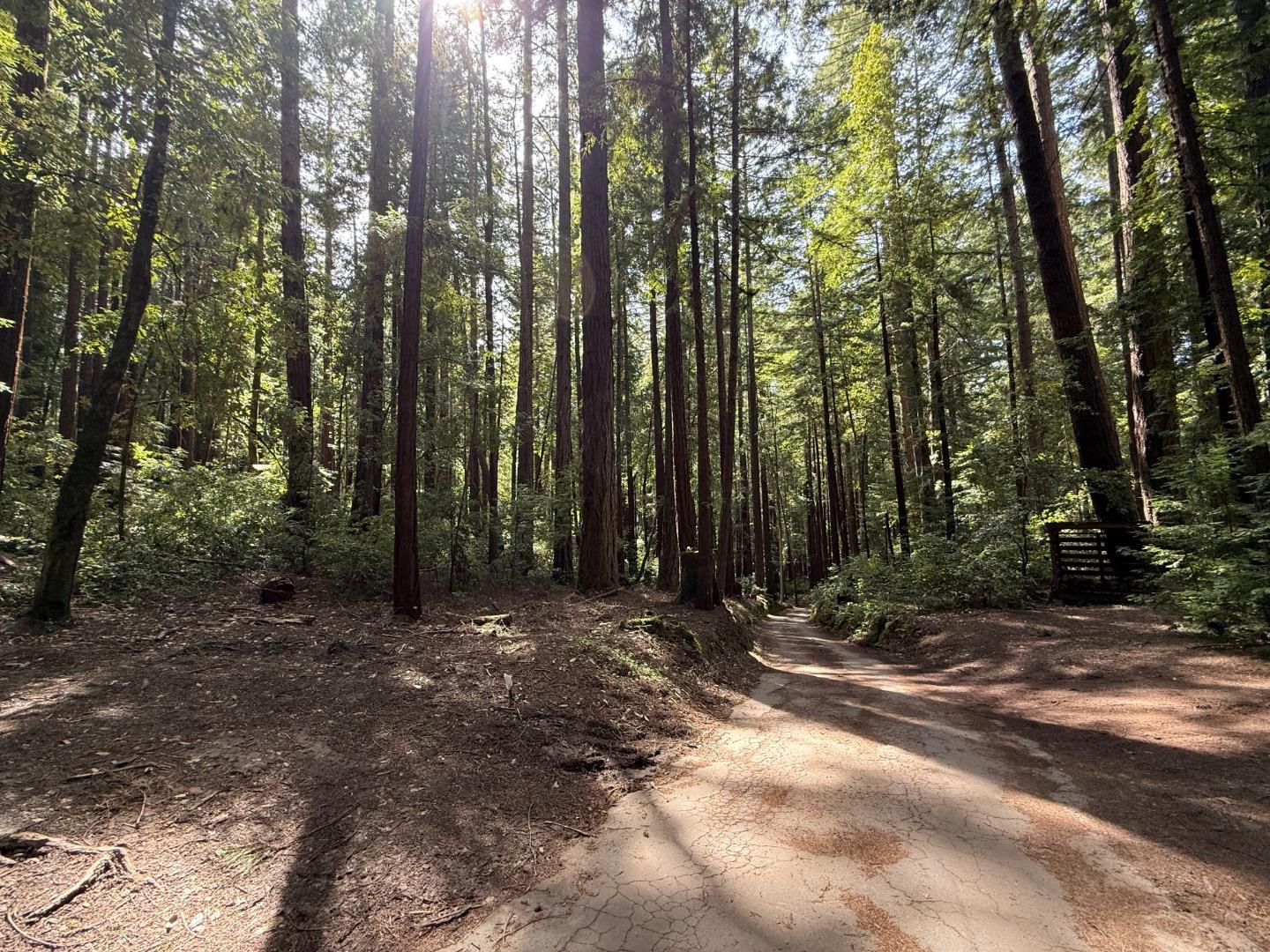 Detail Gallery Image 2 of 28 For 00 Slate Creek Rd., La Honda,  CA 94020 - – Beds | – Baths