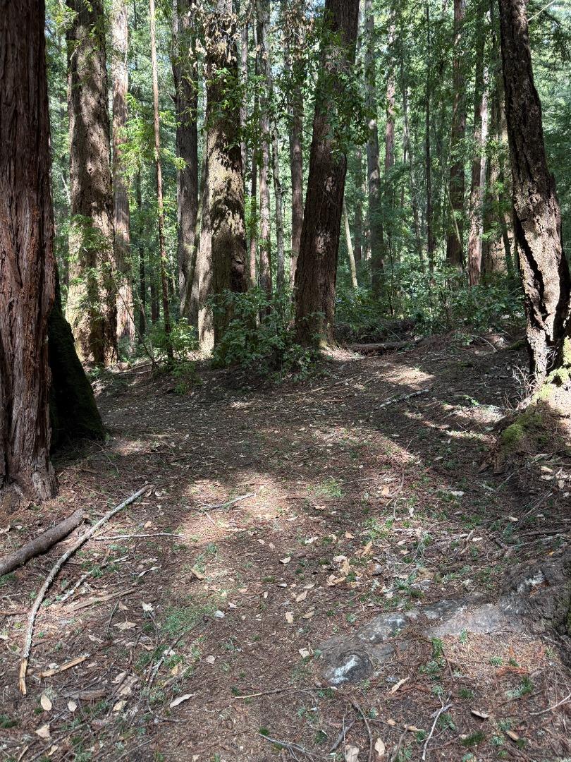 Detail Gallery Image 9 of 28 For 00 Slate Creek Rd., La Honda,  CA 94020 - – Beds | – Baths