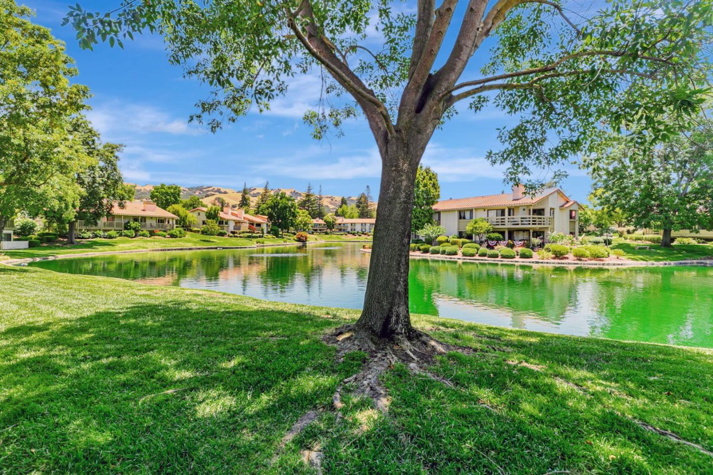 Detail Gallery Image 44 of 49 For 8377 Riesling Way, San Jose,  CA 95135 - 2 Beds | 2 Baths