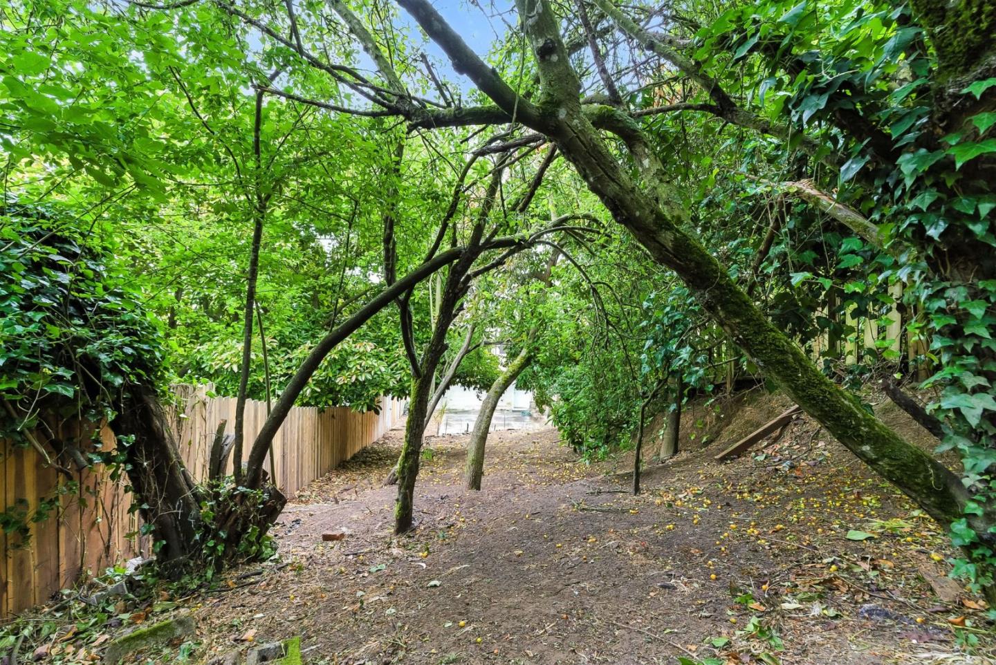 Detail Gallery Image 18 of 23 For 662 Colby St, San Francisco,  CA 94134 - 3 Beds | 2 Baths