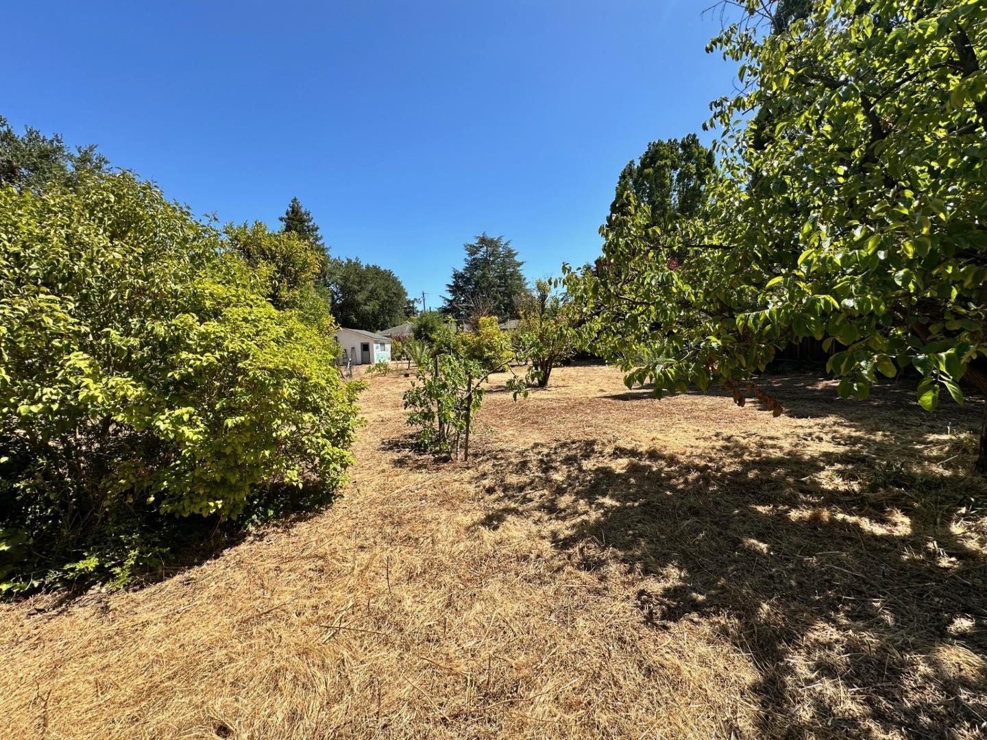 Detail Gallery Image 11 of 15 For 399 Hawthorne Ave, Los Altos,  CA 94022 - 3 Beds | 2/1 Baths