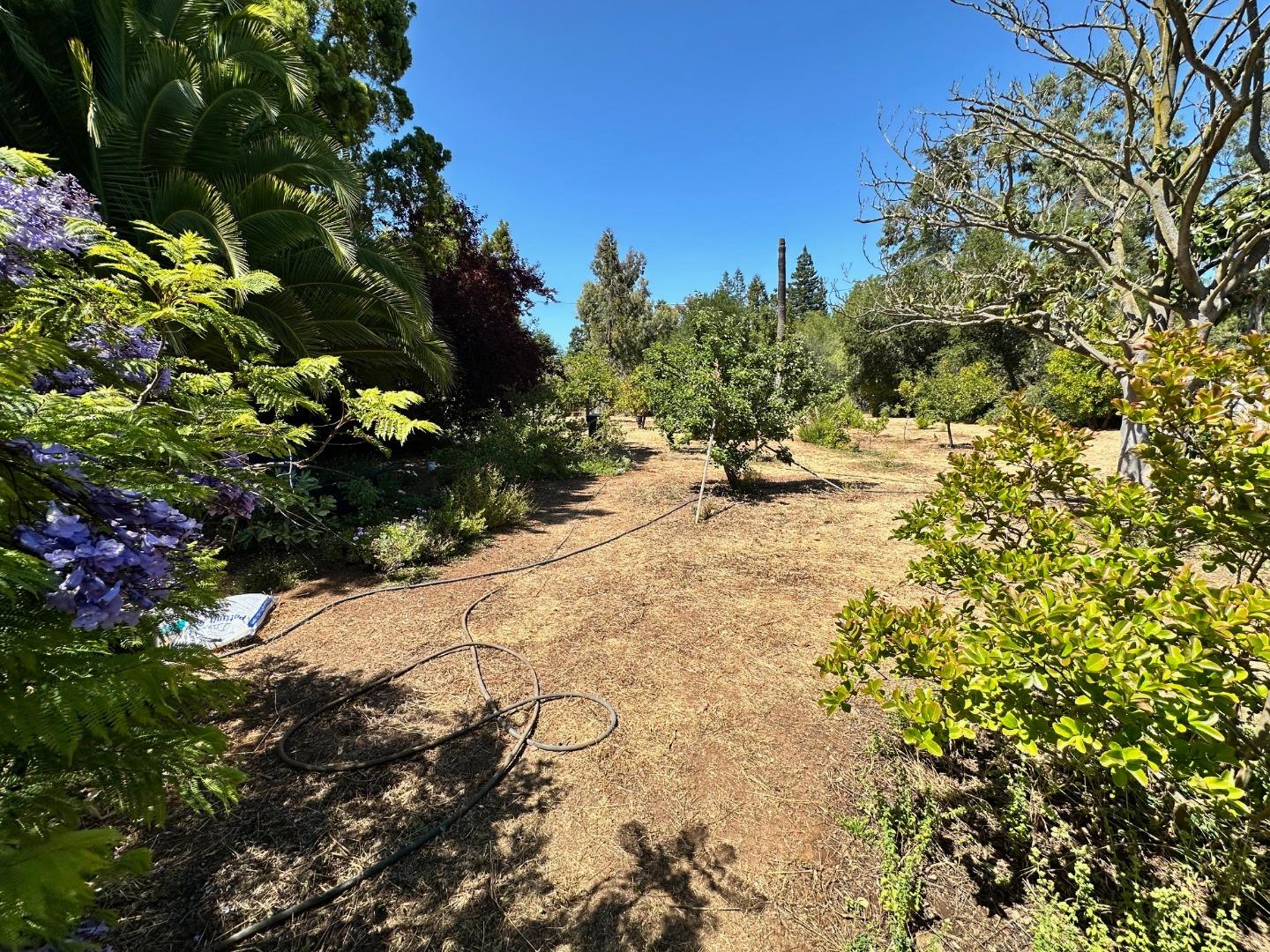 Detail Gallery Image 3 of 15 For 399 Hawthorne Ave, Los Altos,  CA 94022 - 3 Beds | 2/1 Baths