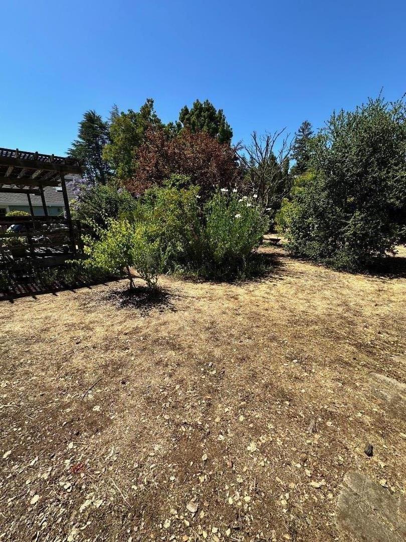 Detail Gallery Image 6 of 15 For 399 Hawthorne Ave, Los Altos,  CA 94022 - 3 Beds | 2/1 Baths