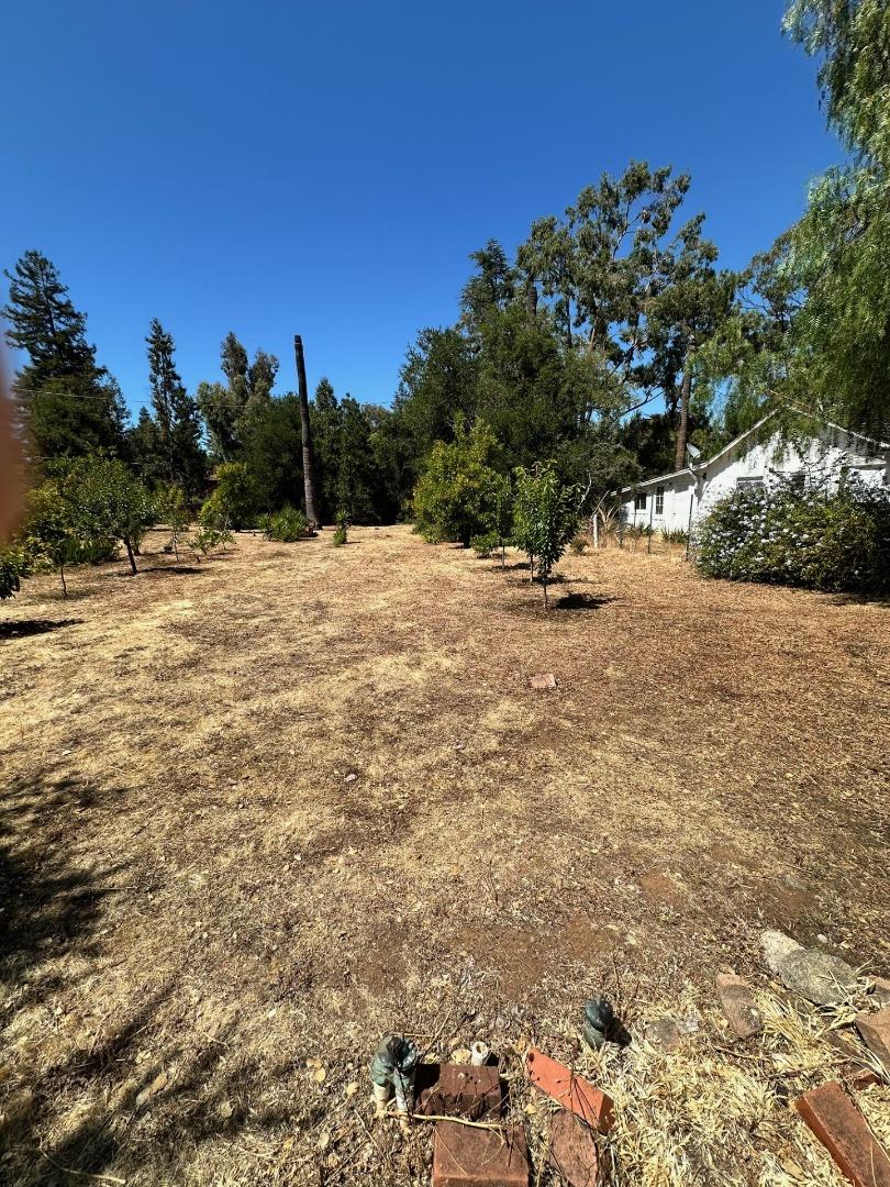 Detail Gallery Image 8 of 15 For 399 Hawthorne Ave, Los Altos,  CA 94022 - 3 Beds | 2/1 Baths