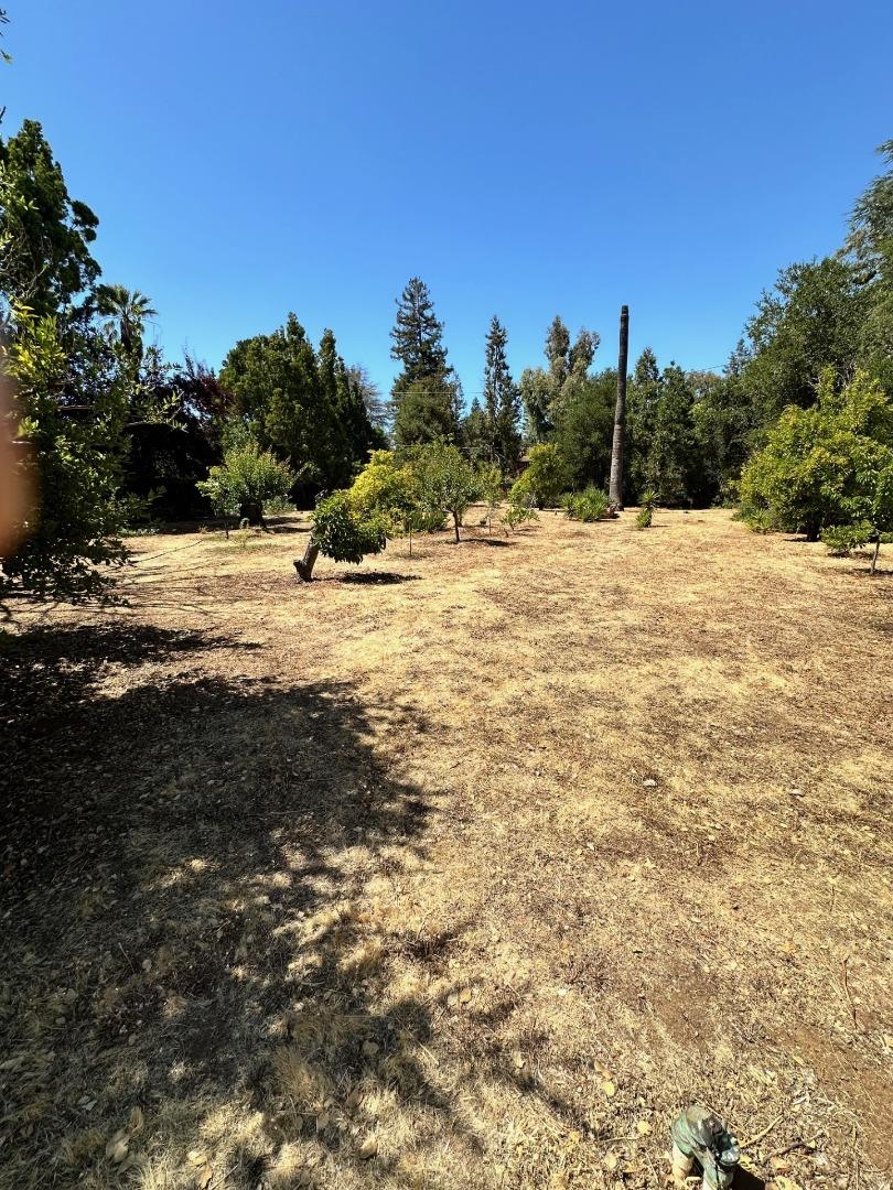 Detail Gallery Image 9 of 15 For 399 Hawthorne Ave, Los Altos,  CA 94022 - 3 Beds | 2/1 Baths