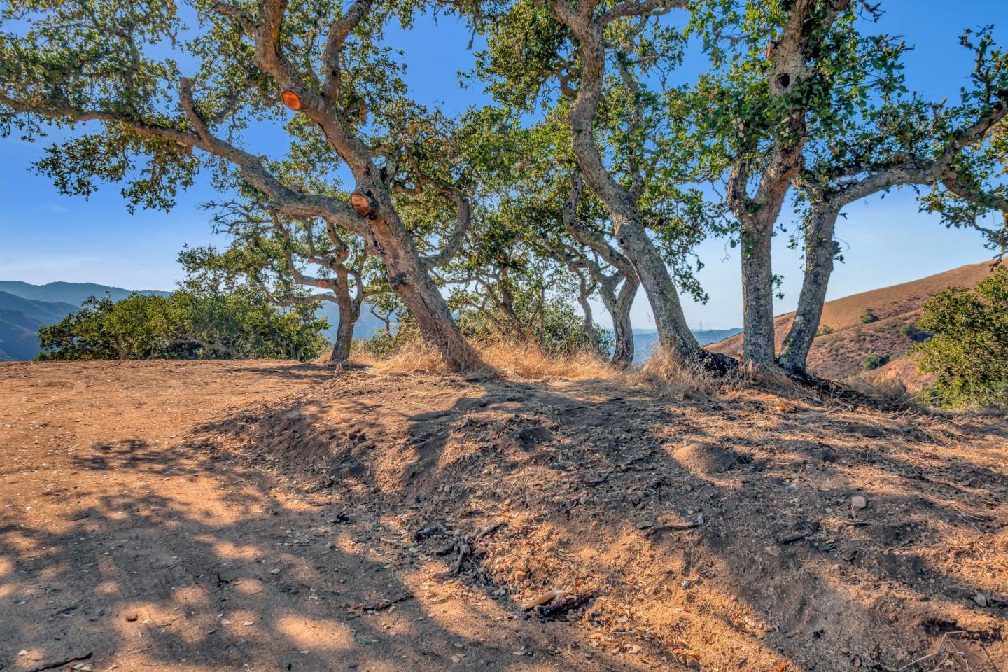 Detail Gallery Image 17 of 19 For Weathertop Ranch, Lot#3, 500 El Caminito, Carmel Valley,  CA 93924 - – Beds | – Baths