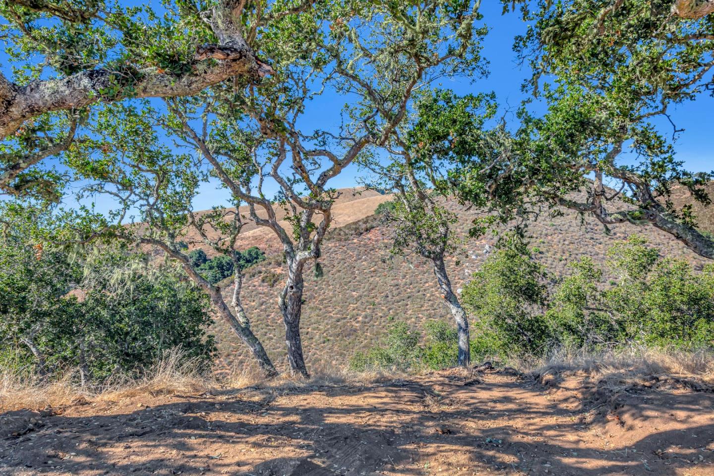 Detail Gallery Image 7 of 19 For Weathertop Ranch, Lot#3, 500 El Caminito, Carmel Valley,  CA 93924 - – Beds | – Baths