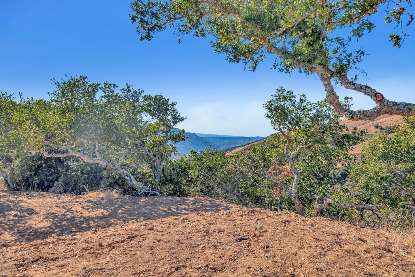 Detail Gallery Image 8 of 19 For Weathertop Ranch, Lot#3, 500 El Caminito, Carmel Valley,  CA 93924 - – Beds | – Baths