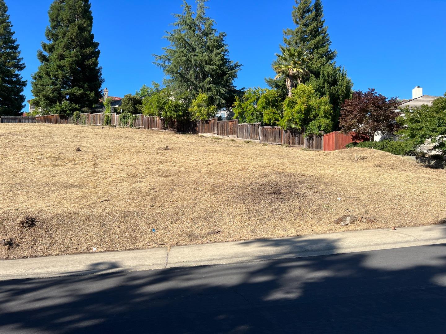 Detail Gallery Image 6 of 20 For 102 Black Gold Ln, Folsom,  CA 95630 - – Beds | – Baths