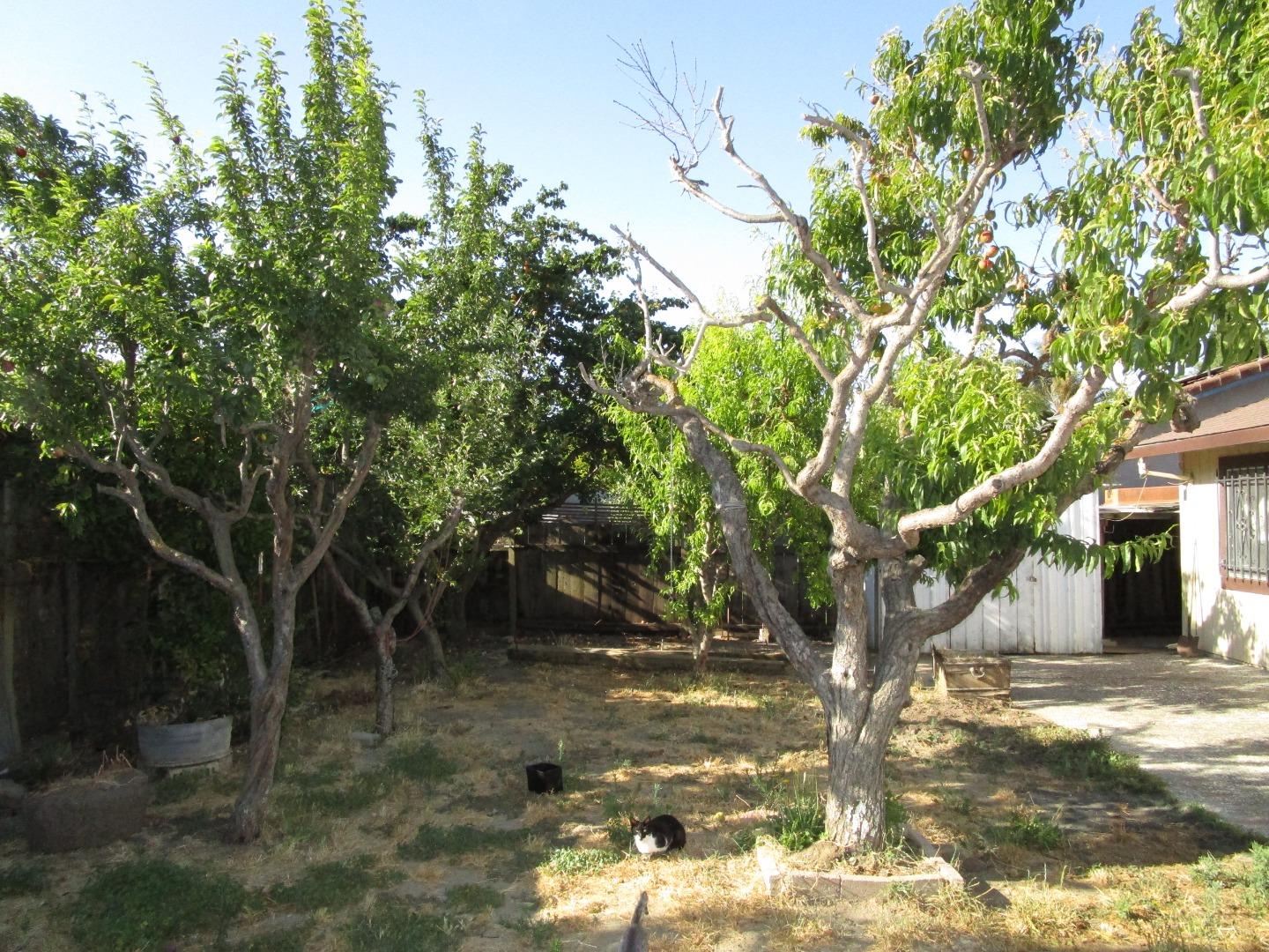 Detail Gallery Image 17 of 18 For 271 Carnoble Dr, Hollister,  CA 95023 - 3 Beds | 2 Baths