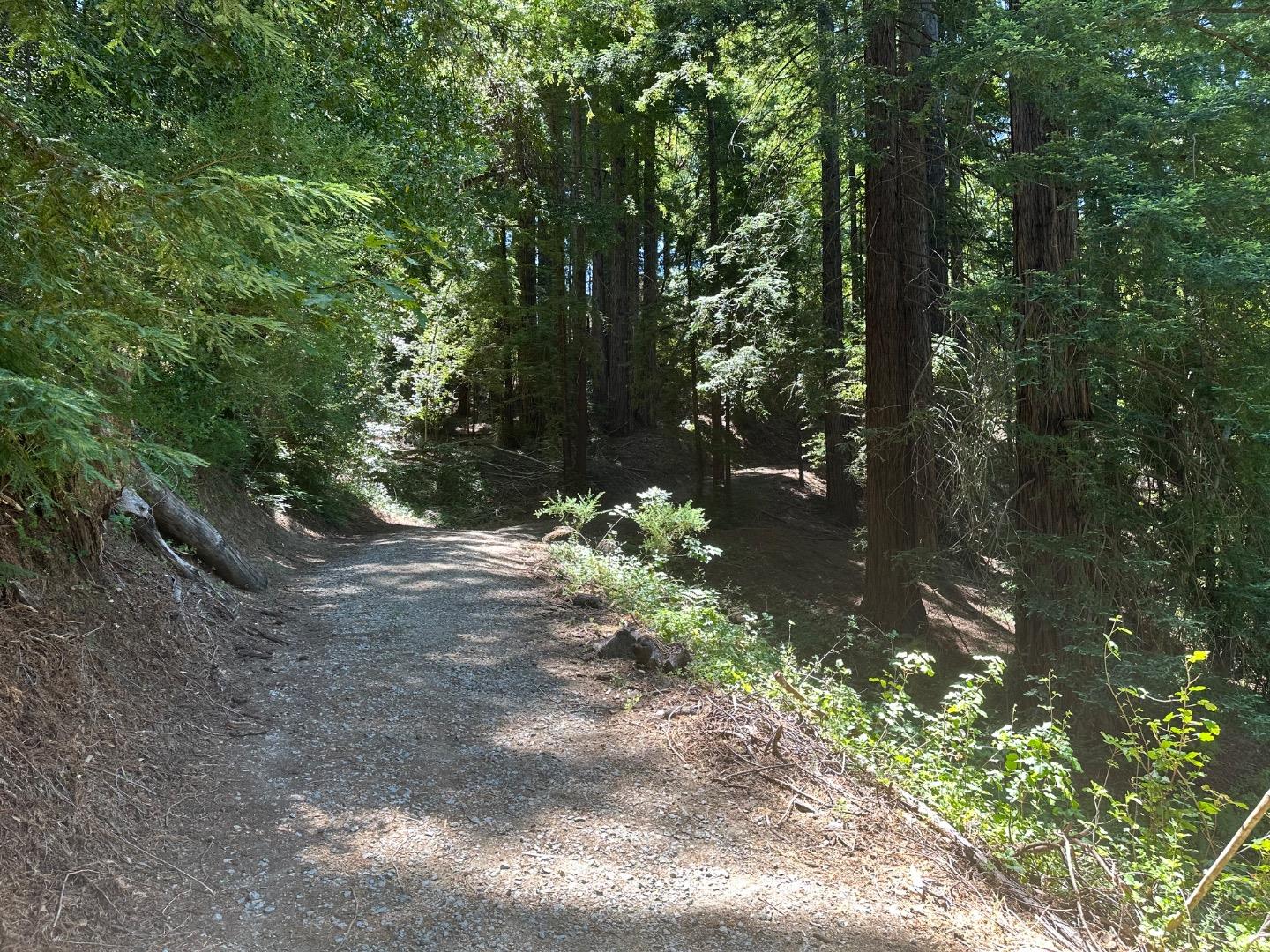 Detail Gallery Image 2 of 9 For 0000 Main Blvd, Los Gatos,  CA 95033 - – Beds | – Baths