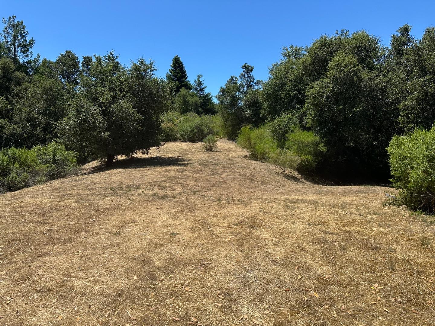 Detail Gallery Image 5 of 9 For 0000 Main Blvd, Los Gatos,  CA 95033 - – Beds | – Baths