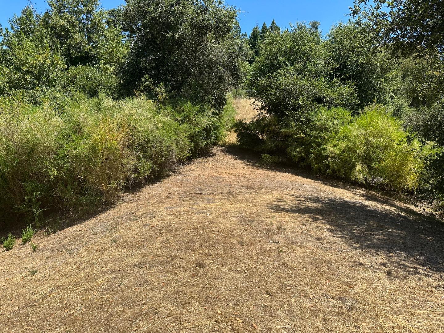 Detail Gallery Image 6 of 9 For 0000 Main Blvd, Los Gatos,  CA 95033 - – Beds | – Baths